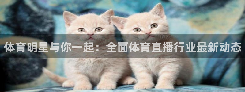 168全国开奖网地址：体育明星与你一起：全面体育直播行业最新动态