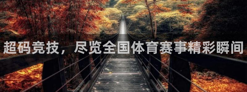 168全国开奖官网：超码竞技，尽览全国体育赛事精彩瞬间