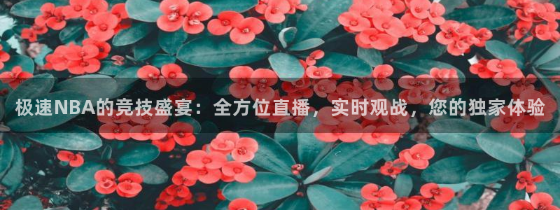 168全国统一开奖结果査询：极速NBA的竞技盛宴：全方位直播，实时观战，您的独家体验