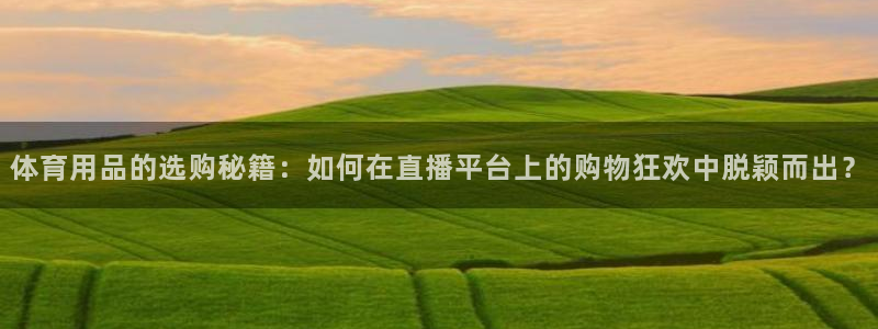 极速赛车168全国开奖：体育用品的选购秘籍：如何在直播平台上的购物狂欢中脱颖而出？