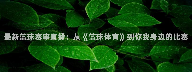168全国开奖网平台：最新篮球赛事直播：从《篮球体育》到你我身边的比赛