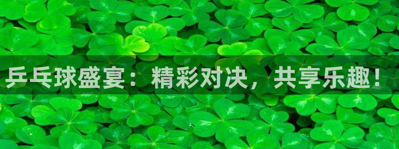 168全国开奖官网：乒乓球盛宴：精彩对决，共享乐趣！